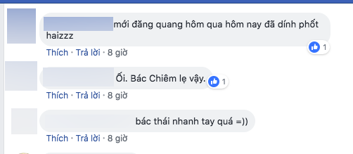 Phương Khánh, Chiêm Quốc Thái, sao Việt